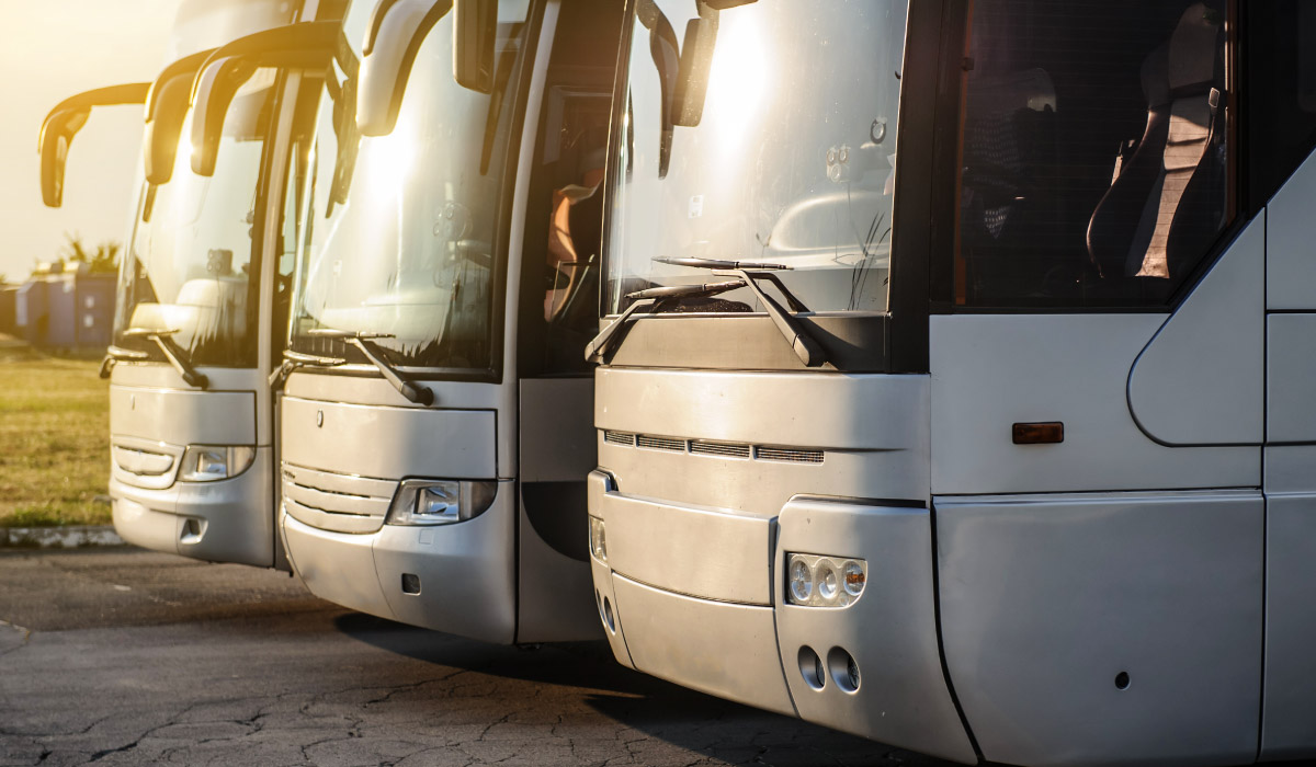 buses buses