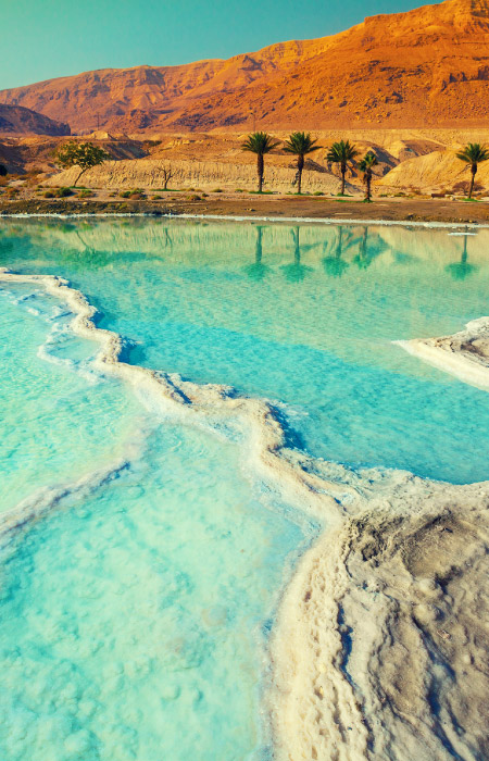 deadsea deadsea